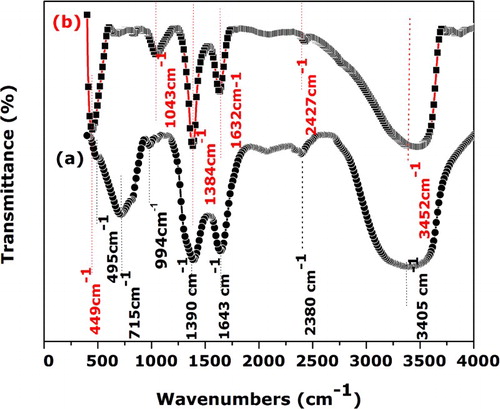 Figure 2. FTIR spectra of dried products (spectrum (a)) and the sample thermally treated at 300°C (spectrum (b)).