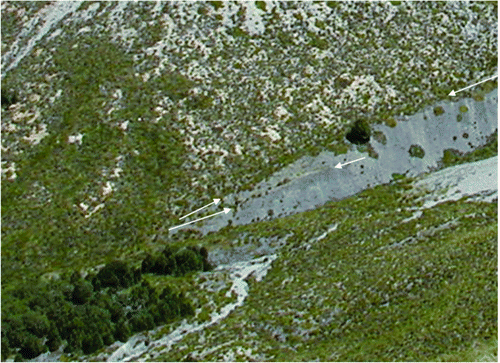 Figure 13  Double trim line between runups one and two. The distance between the single middle arrow and the stand of beech trees in the lower left of the photo is c. 100 m.