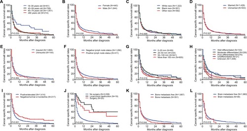 Figure 4 Kaplan–Meier analysis of cancer-specific survival in hepatocellular carcinoma patients with initial lung metastasis stratified by (A) age at diagnosis, (B) gender, (C) race, (D) marital status at diagnosis, (E) insurance status at diagnosis, (F) lymph node status, (G) maximum primary tumor size, (H) primary tumor differential grade, (I) alpha-fetoprotein level, (J) surgery for primary tumor, (K) bone metastasis, and (L) brain metastasis.