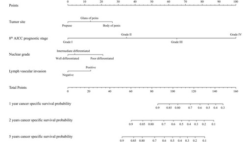 Figure 2 Novel nomogram 2 predicting cancer-specific survival of postoperative PSCC patients.