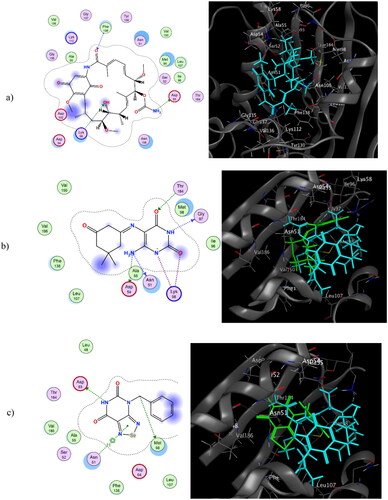 Figure 7. 2D & 3D representation of geldanamycin (a), 2D representation of 3a & 3D representation of overlay view of 3a and geldanamycin (b), 2D representation of 5d & 3D representation of overlay view of 5d and geldanamycin (c) at the binding site of HSP90 (1YET).