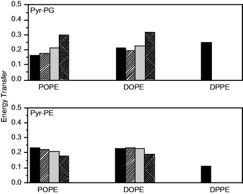 Figure 4. Comparison of experimental and theoretical values of FRET efficiency between W151 and Pyr-PG (top) and Pyr-PE (bottom) at 37 °C in POPE:POPG (3:1, mol/mol) (left), DOPE:POPG (3:1, mol/mol) (center) and DPPE:POPG (3:1, mol/mol) (right) proteoliposomes (1.5 μM LacY). Reprinted with permission from Picas et al. (Citation2010b). © 2010 Elsevier.