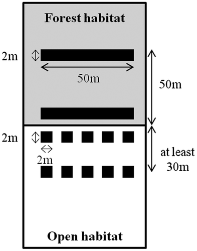 Figure 3. Scheme of the sampling design. Two 100-m² plots parallel to the border were placed in the forest edge and the forest habitat, at 0 m and 50 m from the border, respectively. Two sets of five 4 m² plots were placed within the open edge and the open habitat, at 0 m and 30 m at least from the border. The border was defined as the line formed by mature trees between forest and open habitats.
