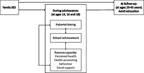 Figure 1. Conceptual model for the relationship of family SES with adult education level through adolescent pathways (biological, reserve capacity and school achievement).