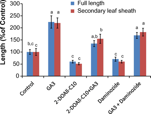 Fig. 6. Effect of GA3, 2-DOAll-C10 (1) and daminozide on rice seedlings. The concentration of GA3 was 1 μM and that of DOAll-C10 and daminozide was 0.2 mM and 1.5 mM, respectively, which are the IC50 values for rice seedlings. Values are mean ± SE (n = 7) and bars with different letters differing significantly from each other as determined by Tukey’s honestly significant difference comparison (p < 0.05).