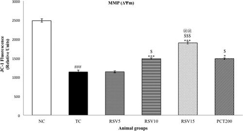 Figure 4. Effect of rosuvastatin and piracetam on MMP. Data are presented as mean ± SEM for six rats in each group. ###p < .001 vs. TC group. ***p < .001, **p < .01, *p < .05 vs. TC group. $$$p < .001, $$p < .01, $p < .05 vs. RSV5 group. @@p < .01, vs. PCT200 group.