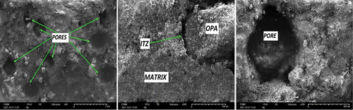 Figure 13b. Scanning electron microscopy LCMD_OPMW (5) in the dry state.