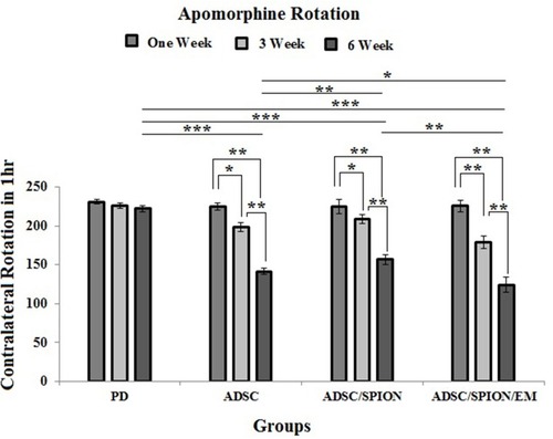Figure 5 Diagram of apomorphine-induced rotation test results in test groups shows the test results in the first, third and sixth weeks after cell transplantation in the injury (PD) and treatment groups (ADSC, ADSC/SPION, ADSC/SPION/EM groups), respectively. *, ** and *** show P< 0.05, P<0.01 and P<0.001, respectively.