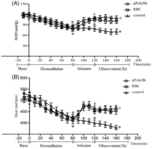 Figure 1. Blood pressure and heart rate in a rat isovolemic hemodilution model. (A) Mean arterial blood pressure (MAP) and (B) heart rate (HR) were monitored every 10 min throughout the experiment. *p < .05 in comparison with baseline; #p < .05 in comparison with the control group.