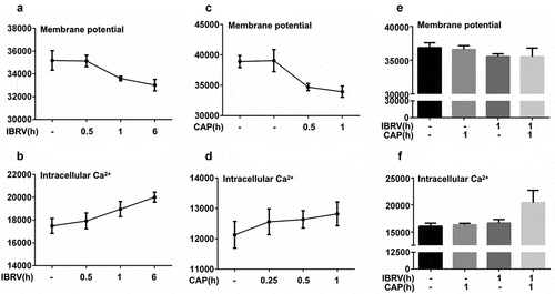 Figure 4. Cell membrane potential and intracellular Ca2+ level on IBRV infection and/or CAP exposure. (a) Cell membrane potential and (b) intracellular Ca2+ level under different IBRV incubation durations. (c) Cell membrane potential and (d) intracellular Ca2+ level under different CAP exposure durations and follow-up cultivation procedures. Synergies between CAP exposure and IBRV infection on (e) cell membrane potential and (f) intracellular Ca2+ level. (g) Immunofluorescence imaging showing Ca2+ influx on IBRV infection and/or CAP exposure