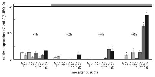 Figure 3. The expression of AtHB-2 during dark period in prr mutants. Plants were grown for 22 d.a.g under LD (40 μmol m-2 s-1 PPFD), and then RNA samples were prepared at specific time points from the end of light period to the end of dark period. The abbreviations of prr mutants are described in Figure 1. Error bars represent SE, and asterisks indicate significant difference from WT using Tukey's LSD (p ≤ 0.05).