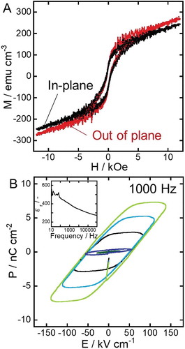 Figure 6. Magnetic (A) and dielectric (B) hysteresis loops of the multiferroic nanocomposite. The inset of the panel B shows the relative permittivity versus frequency.