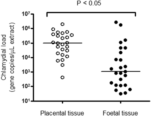 Fig. 3 Analysis of C. psittaci load in equine placental and foetal tissue. Median chlamydial load (bars) in paired placental (open circles) and foetal tissues (closed circles) are shown and are statistically different.