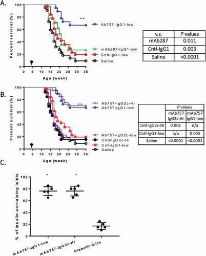 Figure 5. Effect of mAb757 on T1D incidence after early intervention. Groups of 4–5-week-old female NOD mice were treated with antibodies or saline as described in Methods and monitored for up to 35 weeks of age. A: Effect of low (100 µg) dose therapy with IgG1 variants. Graphs show treatment with mAb757 (blue circles; n = 19), mAb287 (green triangles; n = 18), isotype control (red squares; n = 32), or saline control (black open circles; n = 22). B: Comparison of low (100 µg) and high (500 µg) doses of mAb757 isotype variants. Graphs show treatment with mAb757-IgG1-low (blue circles; n = 19); mAb757-IgG2c-low (purple triangles; n = 18), IgG2c isotype control-low (purple triangles; n = 13), mAb757-IgG2c-high (purple stars; n = 20), IgG2c isotype control-high (black filled circles; n = 13), IgG1 isotype control-low (n = 32; red squares), or saline control (black open circles; n = 22). Statistically significant variation between groups was determined using a Mantel-Cox test. C: The percentage of insulin positive islets from surviving mAb757-treated animals at 35 weeks or diabetic control-treated mice after diagnosis was measured by immunohistochemistry. Data show average results from all islets from each individual mouse. Asterisks indicate p < .001 relative to diabetic animals