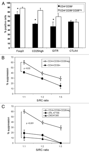 Figure 5.The phenotype and suppression mediated by CD4+CD39+ Treg vs. CD3+CD39+CD26neg Treg. (A) Freshly sorted PBMC obtained from 15 NC were stained and analyzed by flow cytometry. Expression of conventional Treg markers in the CD4+CD39+ and CD4+CD39+CD26neg T cell subsets was determined. Data are means ± SD from 15 independent experiments. (B) Single-cell sorted CD4+CD39neg cells were CFSE-labeled and stimulated with plate-bound OKT-3 and soluble anti-CD28 in the presence of CD4+CD39+ or CD4+CD39+CD26neg suppressor cells and 150 IU/ml of IL-2 for 5 d. The % inhibition of RC proliferation was determined by flow cytometry and analyzed using the Modfit software. (C) An inhibitor of CD39 activity (ARL67156) or an antagonist of the A2AR (ZM 241385) were added to the suppression assays at the beginning of the co-cultures set up as described in (B). Suppression of CD4+CD39neg cell proliferation mediated by CD4+CD39+ cells or CD4+CD39+CD26neg cells at various S/RC ratios was determined as described in Materials and Methods. The data are means ± SD from three independent experiments.