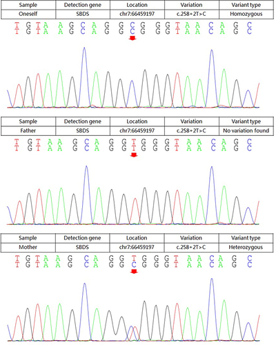 Figure 1 Homozygous variation.