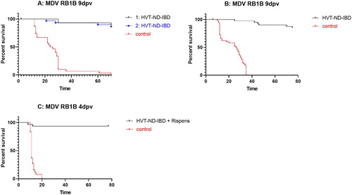 Figure 4: Survival curves after MDV challenge. (A) RB1B challenge at 9 days post vaccination in birds vaccinated in ovo with HVT-ND-IBD (1: 1996 PFU/dose, 2: 3157 PFU/dose); (B) RB1B challenge at 9 days post vaccination in birds vaccinated SC with HVT-ND-IBD (1000 PFU/dose); (C) RB1B challenge at 4 days post vaccination of birds vaccinated SC with HVT-ND-IBD (2000 PFU/dose) + Rispens CVI988 vaccine (1000 PFU/dose). At the end of the observation period (75, 70 and 77 days post challenge for A, B, and C, respectively), surviving birds were necropsied and birds were examined for macroscopic lesions of MD and scored positive if present.