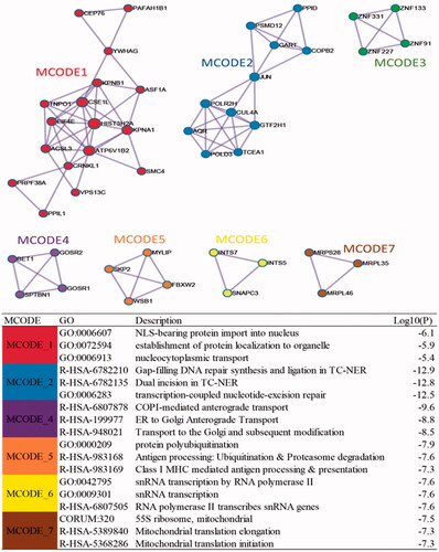 Figure 7. Protein-protein interaction network and MCODE components identified.