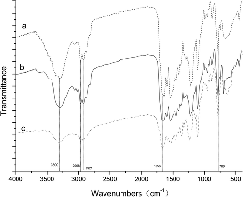 Figure 4. FTIR spectra of polyurea microcapsules from (a) DETA, (b) Urea, and (c) EDA.