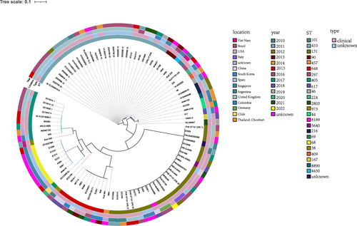 Figure 1 The phylogenetic relationship between EC488 and a total of 99 E. coli strains co-carrying blaKPC-2 and blaCTX-M-15 genes currently deposited in the NCBI GenBank database.