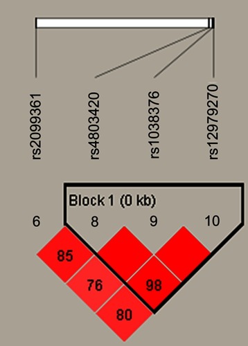 Figure 1 The haplotype block map constructed by candidate SNPs in CYP2B6.