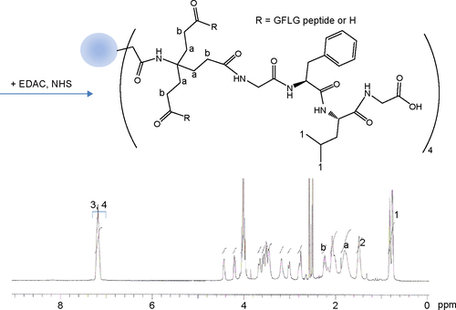 Figure S3 1H nuclear magnetic resonance spectra for dendrimer-GFLG conjugate.Note: Peaks of a and b was indicated methylene protons of dendrimer core.Abbreviations: GFLG, Gly-Phe-Leu-Gly; EDAC, N-(3-dimethylaminopropyl)-N-ethylcarbodiimide hydrochloride; NHS, N-hydroxysuccinimide.