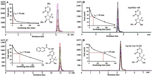 Figure 1 HPLC-UV chromatogram, peak area and half-life. (A) After 300 mins incubation, the HPLC-UV chromatogram, peak area and half-life of gemcitabine; (B) After 300 mins incubation in mouse plasma, the HPLC-UV chromatogram, peak area and half-life of Asp(OBzl)-gemcitabine; (C) After 300 mins incubation, the HPLC-UV chromatogram, peak area and half-life of 1,2,3,4-tetrahydroisoquinoline-3-carboxyl-Ile-gemcitabine; (D) After 300 mins incubation, the HPLC-UV chromatogram, peak area and half-life of RGDV-gemcitabine.Abbreviations: RGDV-gemcitabine, 4-(Arg-Gly-Asp-Val-amino)-1-[3,3-difluoro-4-hydroxy-5-(hydroxylmethyl)oxo- lan-2-yl]pyrimidin-2-one.