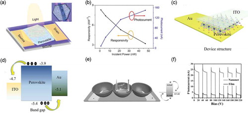 Figure 3. (a) Schematic of a 2D CH3NH3PbI3 platelet phototransistor. The upright inset showed the optical microscopy image of the 2D CH3NH3PbI3 platelet phototransistor. (b) Dependence of photocurrent and photoresponsivity on incident light power, the blue and black dots correspond to original data [Citation55]. Copyright from 2018 Nanomaterials. (c) Schematic image of the CH3NH3PbI3 vertical structure photodetector looking through the back side of the glass substrate. (d) The band alignment for the ITO/perovskite/Au vertical heterostructure [Citation56]. Copyright from 2017 J. Phys. D. (e) Schematic illustration of the mechanism of perovskite nanonet photodetector. (f) I–t curves of the CH3NH3PbI3 photodetectors based on nanonet and compact film illuminated under monochromatic light at 700 nm [Citation57]. Copyright from 2017 Adv. Funct. Mater.