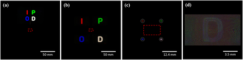 Figure 2 Reconstructed amplitude of letter ‘IPOD’ by using (a) the conventional DSF method and that using (b) the proposed MDSF method that have four foci at the virtual plane. (c) Amplitude of light at the virtual plane and (d) the calculated double-phase encoded CGH that is used for reconstructing the result shown in (b). The overall size of (a) and (b) is set to full Fresnel diffraction region.