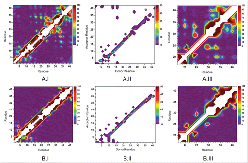 Figure 4. The intra-molecular peptide interaction (I), intra-molecular hydrogen bond (II), and hydrophobic interactions (III) maps for the Aβ42 monomer in aqueous solution with Vs = 330 nm3 (A) and Vs = 810 nm3 (B) where Vs presents the volume of water.