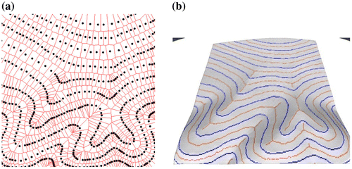 Figure 5. (a) Contour data and Voronoi cells; (b) Interpolated surface with ridges and valleys.