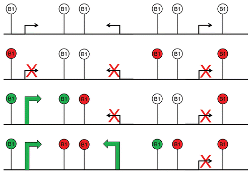 Figure 3 Retrotransposons as Genomic Traffic Lights. The diagram shows some hypothetical transcriptional outputs for three adjacent genes that have several B1 SINE elements located between them. The generation of specific loci models will be needed to study the dynamics of insulatory networks. B1 elements are colored in red or green to indicate inhibition or activation of gene transcription, respectively.