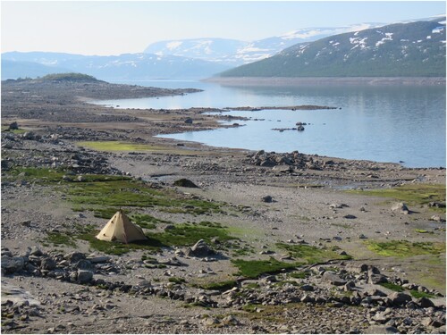 Figure 11. Shared landscapes at Øsmundset in Hallingdal. The water level in the regulated lake Strandavatnet was at this point only a few metres above original level. The round dwelling and longhouse are located in the grass covered area to the right behind the lavvo (tent). Photo: Lisbeth Skogstrand, Museum of Cultural History.