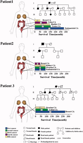 Figure 1. Analytical process for genetic susceptibility of three patients.