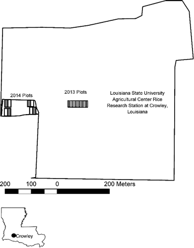 Figure 1. Louisiana State University AgCenter Rice Research Station, Crowley, LA, USA (30o14′23.9″N, 92o20′44.0″W. Areas containing research plots are marked for 2013 and 2014. Detrital subsidy plots are gray, control plots are white.
