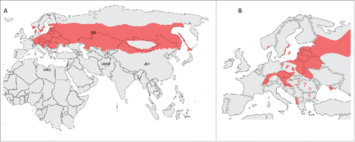 Figure 2. Areas of TBEV distribution in the Eurasian region (A) with possible overlapping regions of other major flavivirues (WNV – West Nile virus, DENV – Dengue virus, JEV – Japanese encephalitis B virus). A map of TBEV distribution in Europe (B).