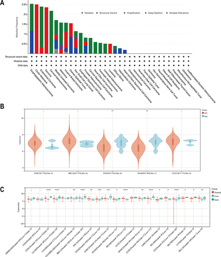 Figure 4 The genetic alteration of CCT8. (A) The CCT8 genetic alteration analysis in TCGA cancers was conducted by cBioPortal. The color represented the type of genetic alteration. The abscissa represented the different tumor types, and the ordinate represented the alteration frequency. (B and C) Sangerbox was used to analyze the effect of SNV (B) and CNV (C) on the CCT8 expression. In Figure (B), Orange represented WT and blue represented Mut. In Figure (C), Orange, blue, and green represented Neutral, Loss, Gain, respectively. In the (B and C) The abscissa represented different tumors, and the ordinate represented the expression level of CCT8. The Wilcoxon test was used for the above analysis (*p < 0.05; **p < 0.01; ***p < 0.001; ****p < 0.001).