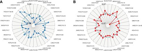 Figure 6 Correlations of FTO expression with TMB and MSI in pan-cancer. (A) The correlation analysis between FTO expression and TMB in pan-cancer. (B) The correlation analysis between FTO expression and MSI in pan-cancer.