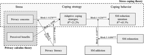 Figure 2. Structural model.