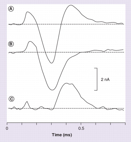 Figure 3. Time course of current blocked by 4-aminopyridine (fampridine).Net membrane current (inward current plotted downwards) at the start of a stretch of continuous conduction (as in a demyelinated fiber). Horizontal dashed lines indicate the zero net current. (A) Control; (B) after application of 5 mM 4-aminopyridine; (C) change in net membrane current attributable to 4-aminopyridine derived by subtracting curve B from curve A.Reproduced with permission from Citation[27].
