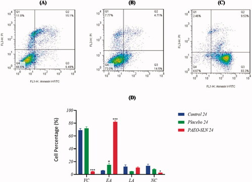 Figure 5. MDA-MB-231 cells incubated with IC50 concentrations of PAEO-SLN and placebo for 24 h and the induction of apoptosis (A) in control, (B) in presence of placebo, and (C) PAEO-SLN determined by flow cytometry. (D) The quantitative analysis was plotted to show the population of VC, EA, LA, and NC cells (Note: *P < 0.05 and ***P < 0.001 compared with the control sample. VC: viable cells; EA: early apoptotic; LA: late apoptotic; NC: necrosis cells; PI: propidium iodide; PAEO-SLN: Pistacia atlantica EO loaded in SLNs; PI: propidium iodide).