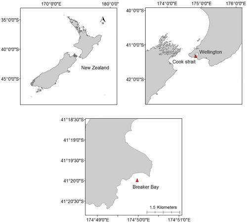 Figure 1. Map of site collection site, Breaker Bay (red triangle), Wellington South Coast, New Zealand.