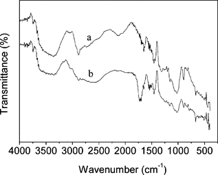 Figure 1 IR spectra of (a) cellulose; (b) cellulose-g-PAA.