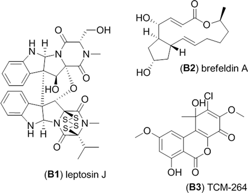 Figure 4. Metabolites isolated from strain RKDO795 (probable Edenia sp.).