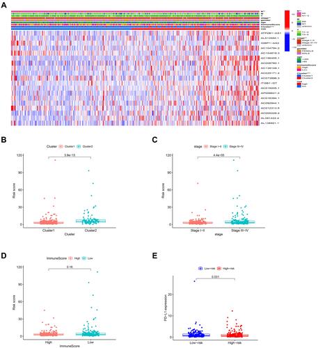 Figure 5 Prognostic risk scores correlated with clustering subtypes, stage and PD-L1 expression in TCGA cohort.