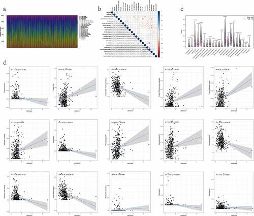 Figure 5. The relationship between the RiskS of our prognostic signature and the proportion of TIICs in the training dataset. (a) histograms showing 21 kinds of TIICs profile for each LUAD patients. The lateral axis represents sample ID and the longitudinal axis represents the relative percent of different types of TIICs. (b) correlation matrix displaying the pairwise correlation between 21 kinds of TIICs. Color or number in each cell depicting the corresponding correlation and P-value between two kinds of TIICs, respectively. (c) violin plots visualizing the infiltration fractions of 21 kinds of TIICs between high- and low-risk groups. The horizontal and vertical coordinates represent the name and relative content of TIICs, respectively. (d) the correlation between the RiskScore and significantly different 15 types of TIICs