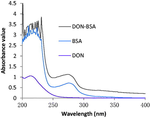 Figure 4. The UV identification of artificial antigen DON-BSA. Note: DON-BSA: deoxynivalenol-bovine serum albumin; BSA: bovine serum albumin.