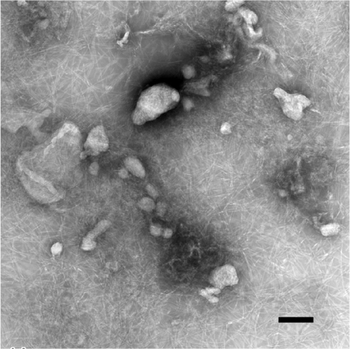 Figure S4 Transmission electron microscopic image of the initial mixture of pyrene and A6K. Large pyrene particles with an irregular shape can be seen in this image.