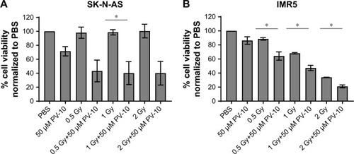 Figure 6 PV-10 enhances the effect of irradiation.Notes: Neuroblastoma cell lines SK-N-AS (A) and IMR5 (B) were pretreated with either PBS (vehicle control) or 50 µM PV-10 for 4 hours. Cells were then irradiated with 0.5, 1, or 2 Gy and cultured for a further 92 hours. Cell viability was measured by alamar blue assay. Mean percentages of cell viability calculated from three separate experiments and standard errors of the means are shown. Asterisks show significant differences, paired Student’s t-test, P<0.05.