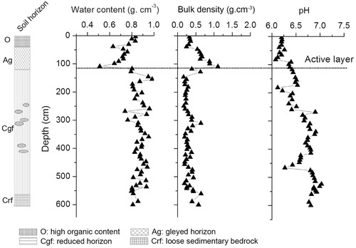 FIGURE 3. Variation of total water content, bulk density, and pH with depth at Site A.